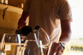 Gewurztraminer : cépage, arômes, styles et accords