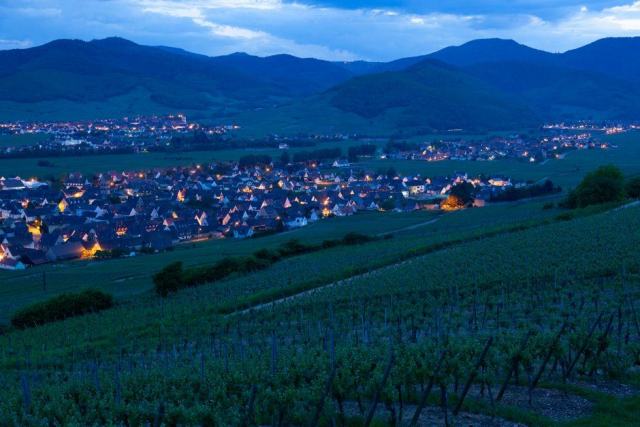 Photo d'illustration : un vignoble en coteaux en Alsace