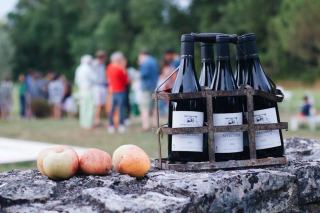 Grands Crus Alsace : 51 terroirs d'exception classifiés