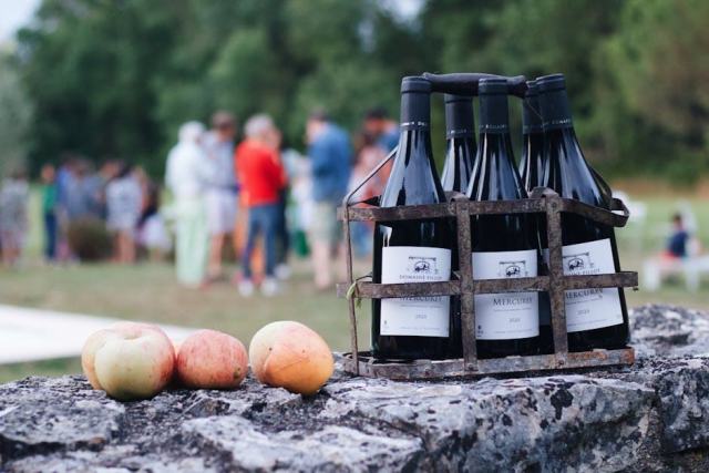 Grands Crus d'Alsace : 51 terroirs classifiés à explorer Grands Crus d'Alsace : 51 terroirs classifiés à explorer