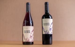 Pinot blanc Alsace : vin passe-partout et accessible