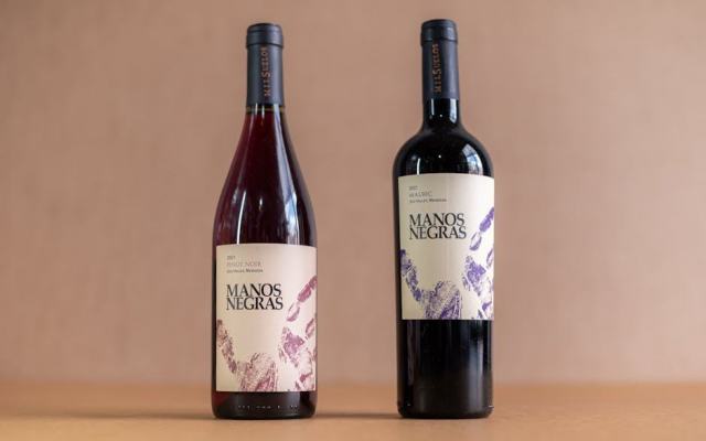 Pinot blanc d'Alsace : le vin du quotidien par excellence Pinot blanc d'Alsace : le vin du quotidien par excellence