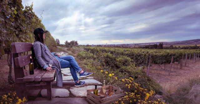 Riesling Alsace : le cépage noble par excellence Riesling Alsace : le cépage noble par excellence