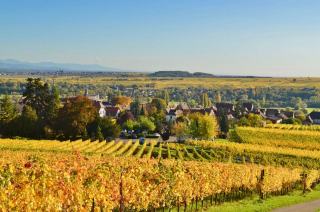 Route des Vins Alsace : itinéraire et villages à visiter