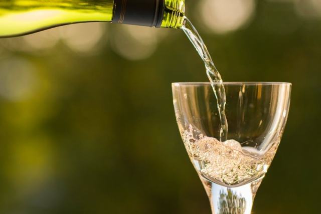 Sylvaner d'Alsace : le cépage frais qui mérite votre attention