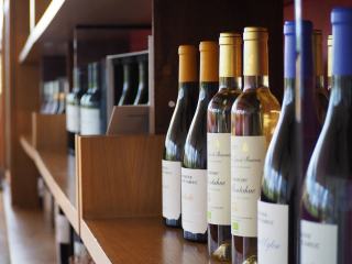 Vin à Colmar : foire aux vins, caves et crus voisins