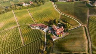 Producteur de vin en Alsace : domaines, caves et négoce
